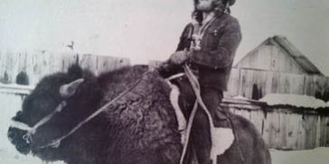 HomeGuy On A Buffalo Guy on a Buffalo