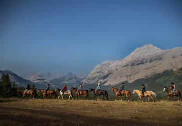 Trail Rides Adventure PackagesHome Trail Rides and Adventures