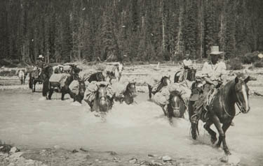 Vintage photo of Pack Horses crossing River