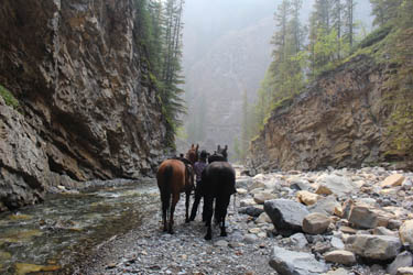 Kananaskis Adventure Ride