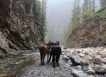 KananaskisAdventureRide Horses on a river bottom