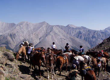 Pack Trips Kananaskis Country Pack Trips Kananaskis Country