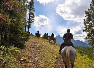 SurfSaddleRide Surf and Saddle Ride