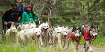Boundary Ranch - Kananaskis, Alberta - Adventure Dog Cart Tours2