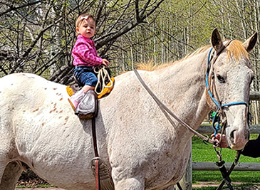 Boundary Ranch – Kananaskis, Alberta – Pony Rides3 Boundary Ranch - Kananaskis, Alberta - Pony Rides3