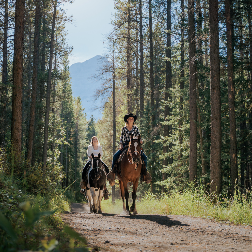 Boundary Ranch - Kananaskis Country, Alberta, Canada - Contact Us