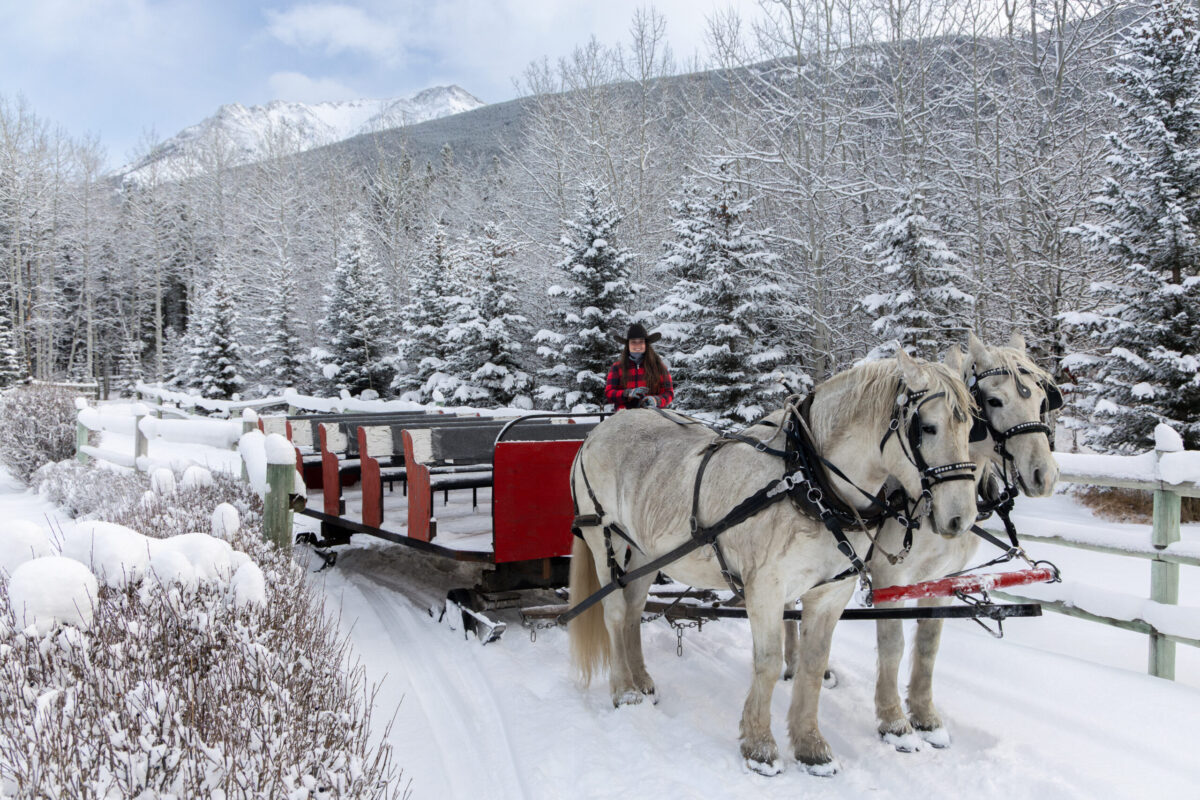 ExploreKananskis_MerryKananskis_JRNYMedia_12.2025_Image-6