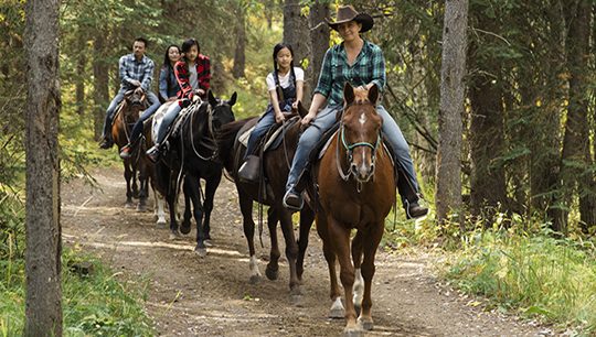 Boundary Ranch, Kananaskis, Alberta Buffalo Trail Horseback Riding Tour