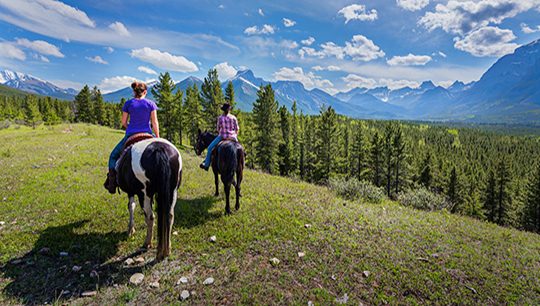 Boundary Ranch, Kananaskis, Alberta - Ridge Trail Horseback Riding Tour with Burger Lunch