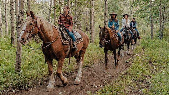 Boundary Ranch, Kananaskis, Alberta Valley Vista Trail Horseback Riding Tour