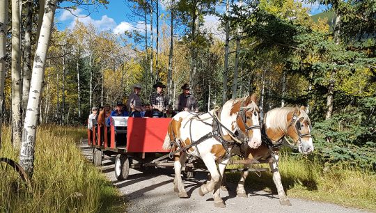 Boundary-Ranch---Kananaskis,-Alberta---Wagon-_-Sleigh-Rides---summer